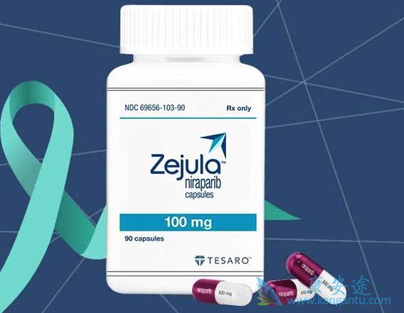 尼拉帕尼 尼拉帕尼