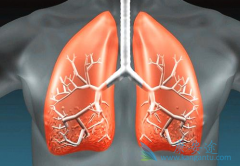 ����ά���ܻ�������Щ�����йأ�