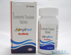 ӡ�ȶ༪���ĸ������������汾��û�в�֮ͬ����