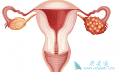 ��Ѫ���������ҩ�����ѳ�����Ч������