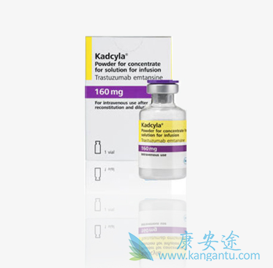 HER2靶向疗法 HER2靶向疗法