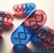 ��������һ���������������ܰ�ϸ����Ѫ�����߰�ȫ��Ч