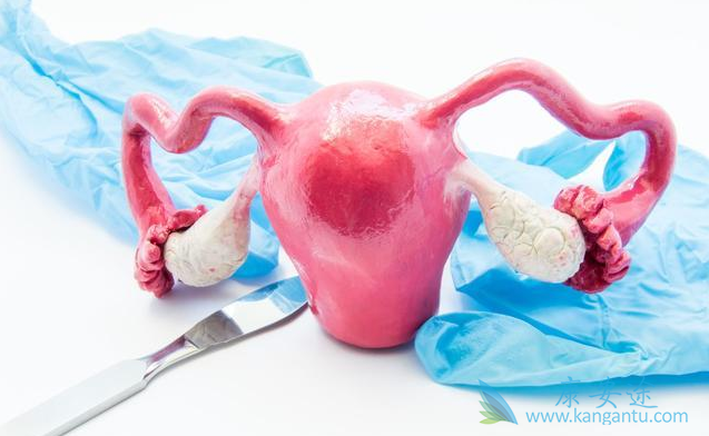 ���׺�����������