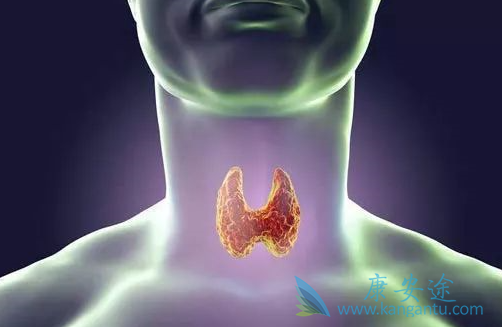 ��״����