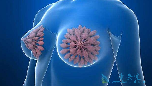 ���ٰ��ڷ�������