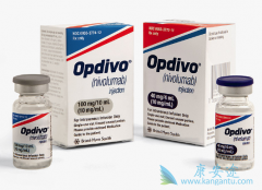 �������ȵ�����Ŀǰ���ʰ��������Ƶ��Ƽ�ҩ����