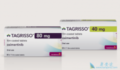 �������������ڷ�Сϸ���ΰ����Ƶĵ�����EGFR-TKI