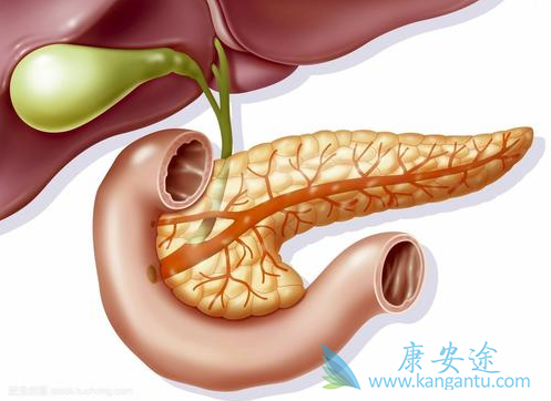 ���ٰ�������