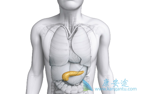 ���ٰ��ܻ���