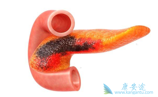 ���ٰ������ܻ���