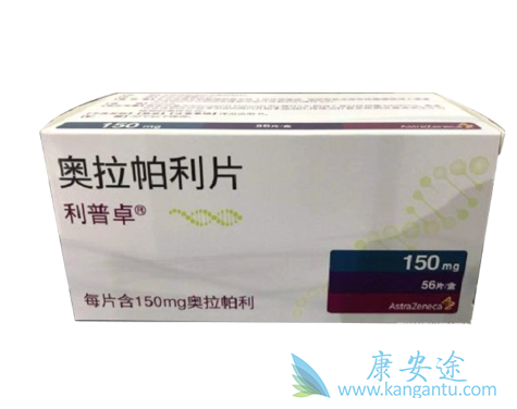 HER2�������ٰ�