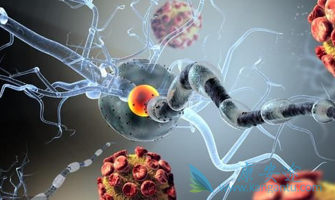 ������ܰ���