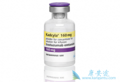 Kadcyla(T-DM1)�����������ٰ����ߵĸ���������