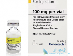 ���ٰ���ҩ�����鵥����T-DM1����ҩ������Щ��ϵ��