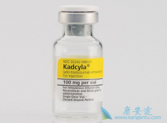 T-DM1����ɼ�����������鵥���������ٰ�����Ч����