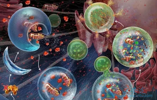 ������־��