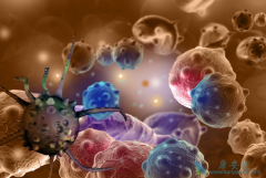 ����ɳ���Ʒΰ���û�ж���ҩʱ����Ҫ��