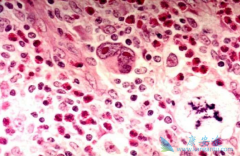 ��ν��ͻ�����ܰ���������������������գ�