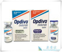 ����EGFRͻ�����NSCLC���߽������䵥��(Opdivo)����Ҳ�����л���