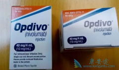 PD-1�������Ƽ����䵥��������ѪҺ�����ļ�����չ