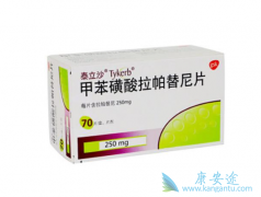 ����������ָ���Ƽ���HER2���ٰ�����ҩ����