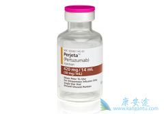 �����鵥�����������鵥������HER2�������ٰ�����Ч��ô����