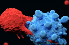 cart�Ʒ�����Ӧ֢��ʲô��Ŀǰ����Щcart��Ʒ���У�