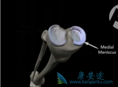 �����������谩���Ի���Ϊ��Щ���ͣ�