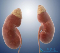 ʲô���������������������������ٴ��������������ģ�