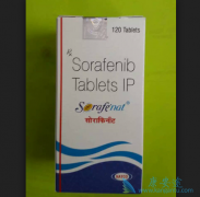 �����߶༪��/���������HCC�ϲ�PVTT���ߵ���Ч��