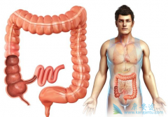 ���ڽ᳦����֢״����ͨ������Щ��