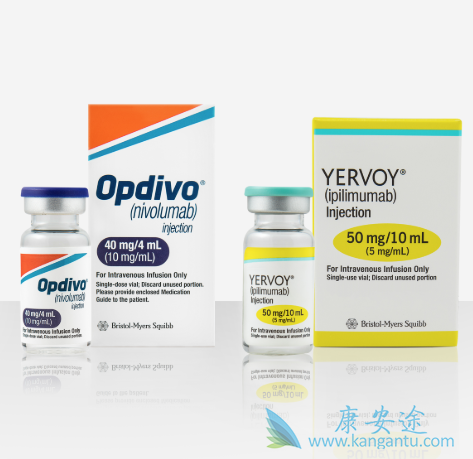 PD-1单抗 PD-1单抗