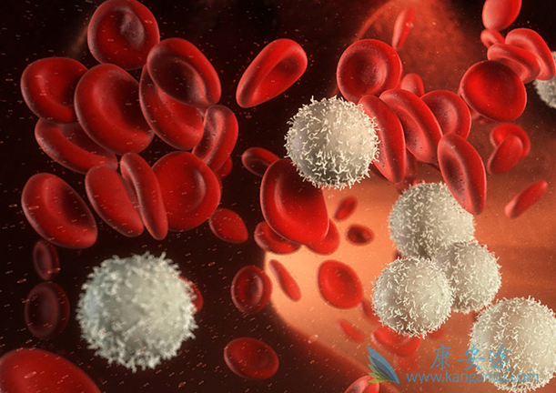 ��Ѫ��������֢״