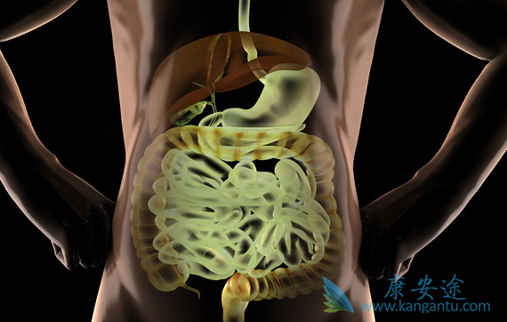 消化道肿瘤 消化道肿瘤