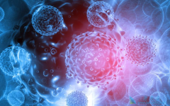 ��������������ϵ����ǲ��ǿ��µĶ��Ժ�ɫ������