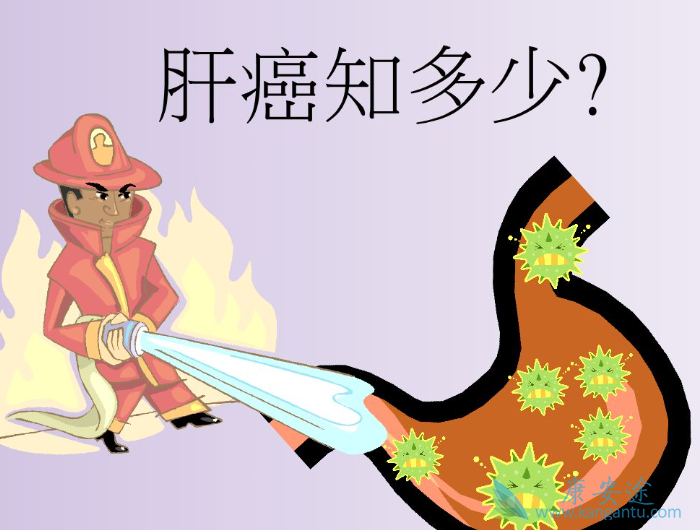 �ΰ����ڵ�����