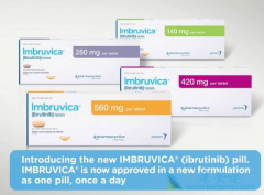 ��������ҩ����������/������ȫ���׸�BTK���Ƽ�