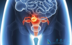 ͨ�������ķ�ʽ�������ѳ������ƺ������Щ������Ӧ��