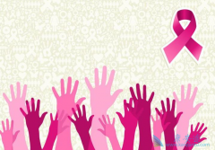 ���ٰ��ڷ������Ƶĸ����ð�����ֳϵͳ��Ӧ�͹�������