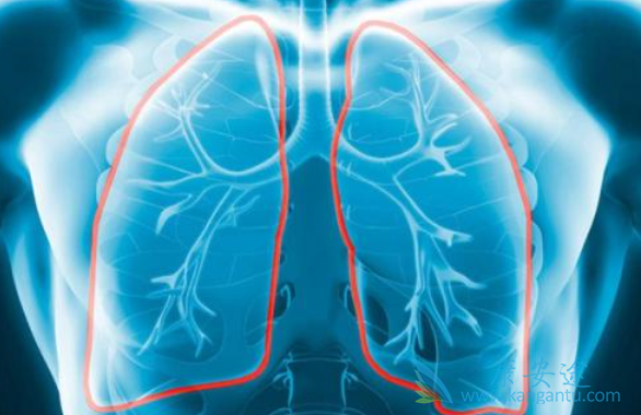 ����ά���ܻ���