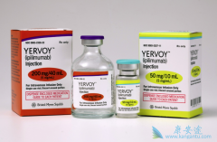 CTLA-4��PD-1���Ƽ������߼����Ʒ����ư�֢��Ч����ô����