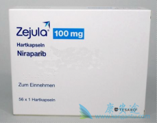 ��������(Zejula)����Ҫ���ص���ǿ����ӻ���ҩ