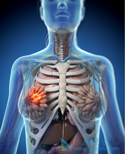 ���ٰ�����