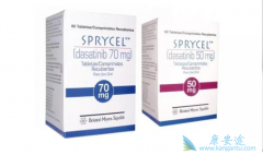 ��ȸ�������ɳ����(SPRYCEL)������ȷ��������CML����Ч������