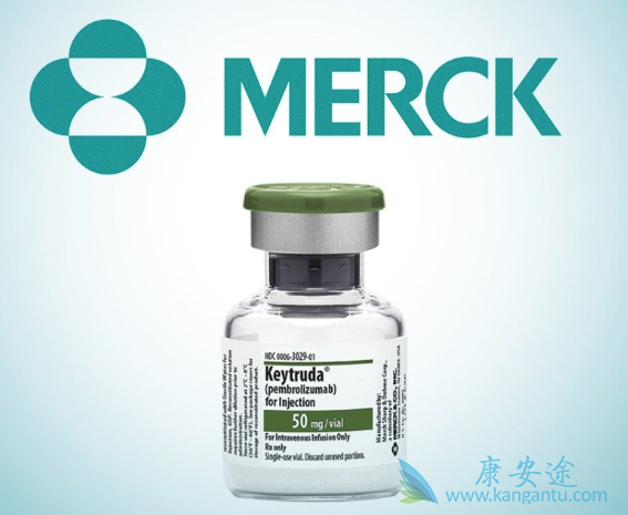 肝癌治疗 肝癌治疗