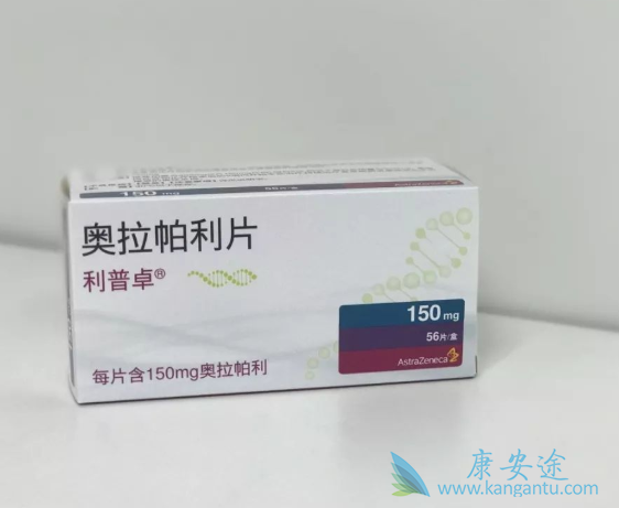 PARP抑制剂 PARP抑制剂