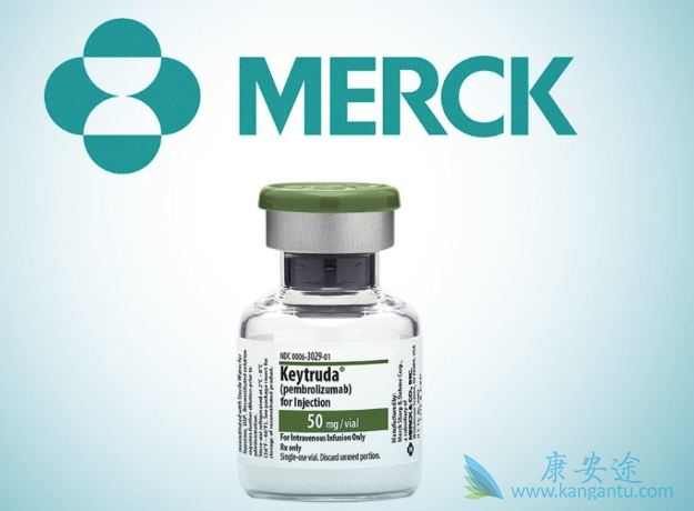 �������鵥��