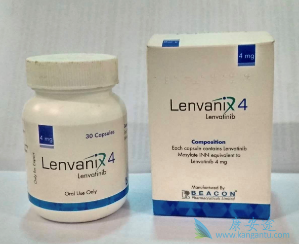 �ط�����