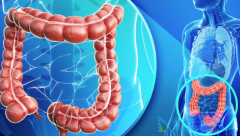 ����ת���Խ�ֱ����ʹ���������Ƶ�Ч����ô����