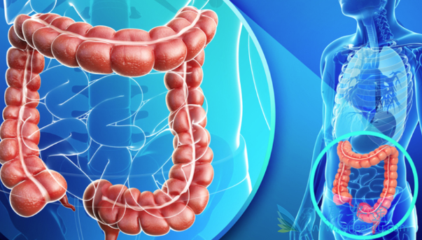 ����ת���Խ�ֱ����